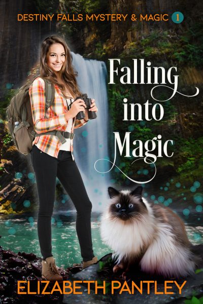 Falling into Magic: Destiny Falls Mystery & Magic, Book 1 by Elizabeth Pantley